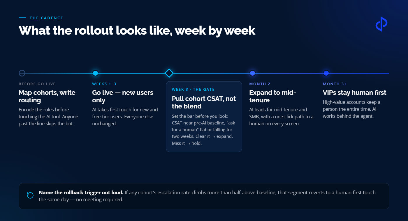 What the rollout looks like week by week - from mapping cohorts to expanding by tenure